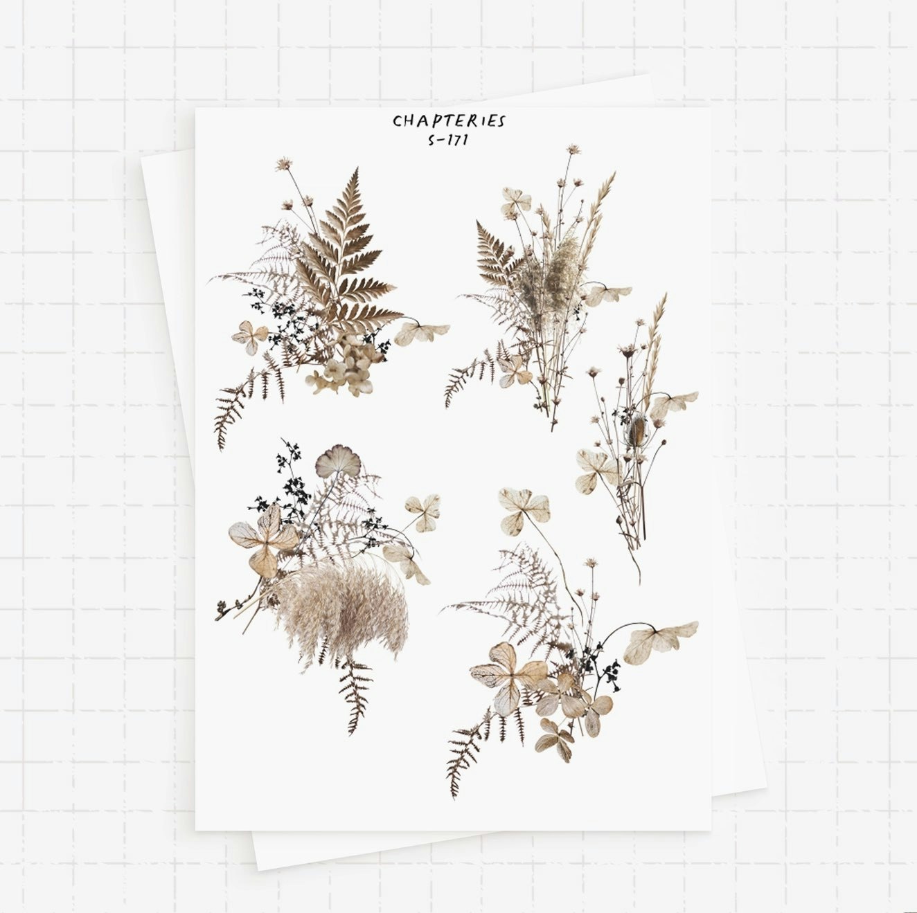 Chapteries Stickers - Dried Flowers