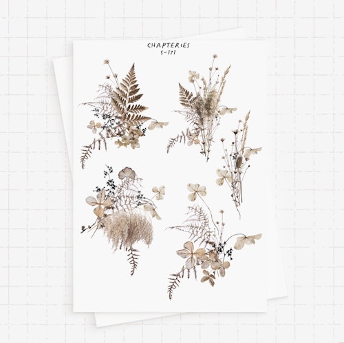 Chapteries Stickers - Dried Flowers