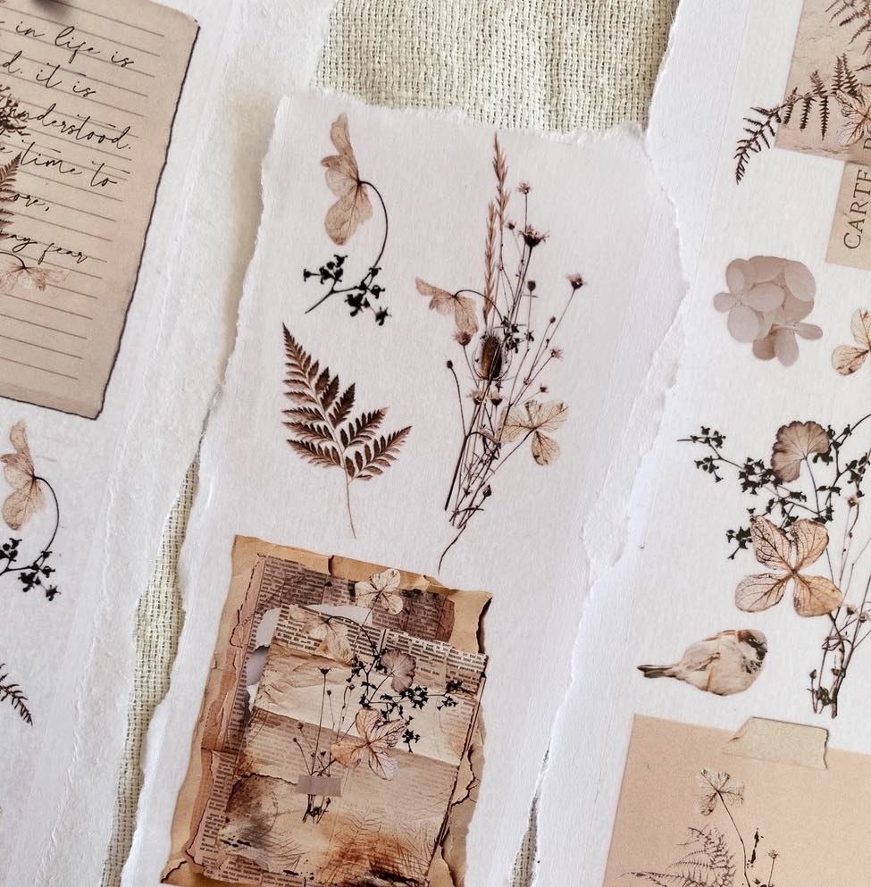 Chapteries PET Tape - Dried Flowers 50 mm