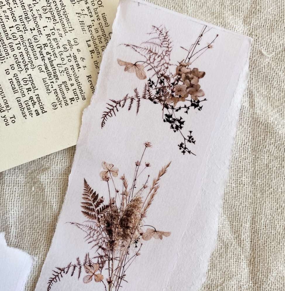Chapteries PET Tape - Dried Flowers 50 mm