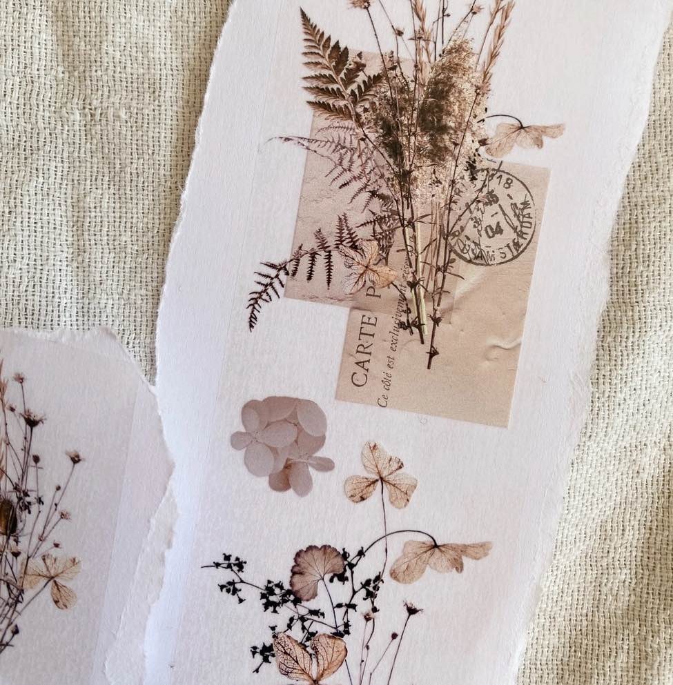 Chapteries PET Tape - Dried Flowers 50 mm