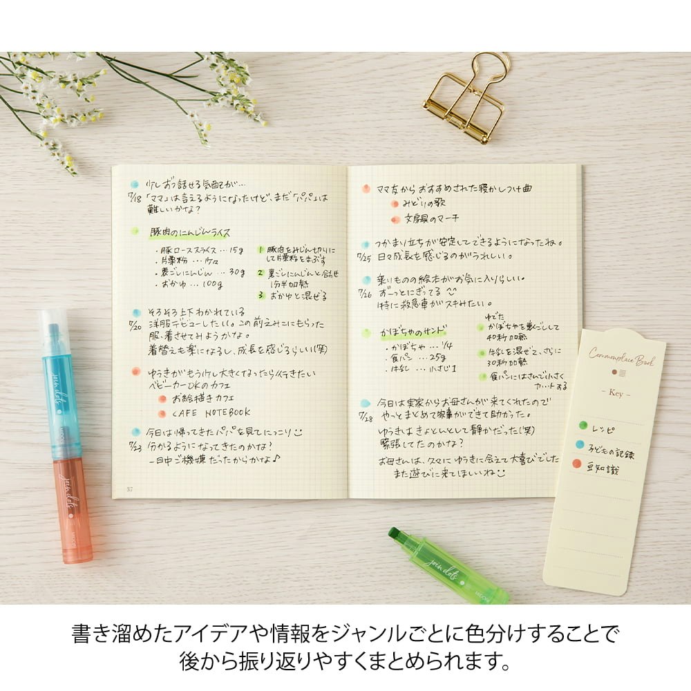 Midori Connecting Pen Join Dots - Bright