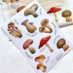 Washi Stickers Nikki Dotti - Mushrooms