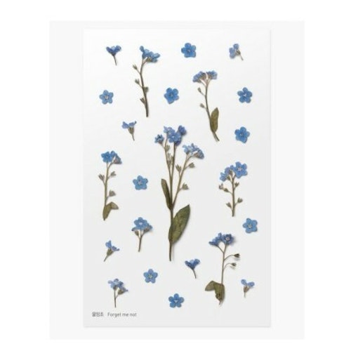 PET Stickers World Craft - Forget Me Not