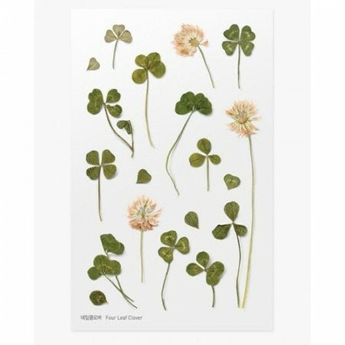 PET Stickers World Craft - Four Leaf Clover