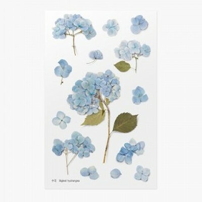 PET Stickers World Craft - Hydrangea