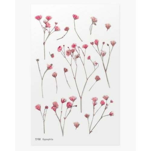 PET Stickers World Craft - Gypsophila