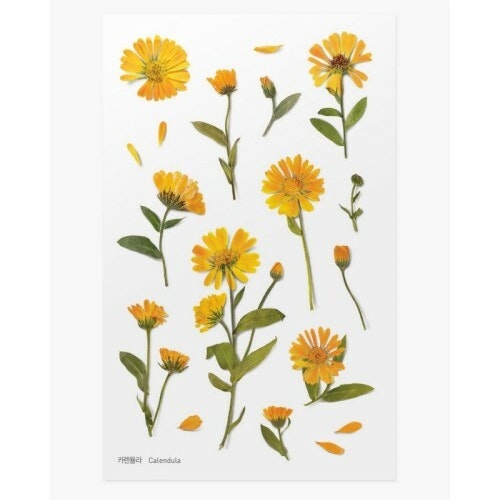 PET Stickers World Craft - Calendula