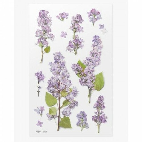 PET Stickers World Craft - Lilac