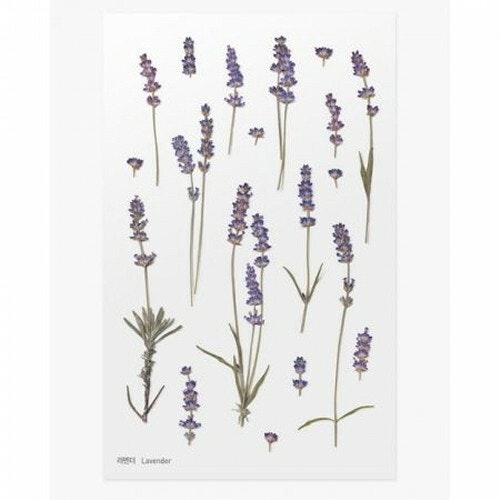 PET Stickers World Craft - Lavender