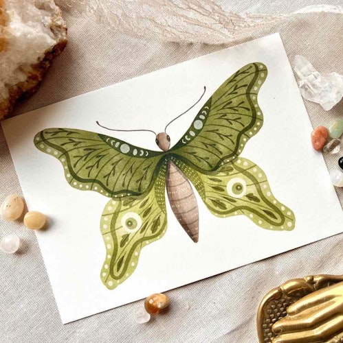 Vykort Nikki Dotti - Green Butterfly