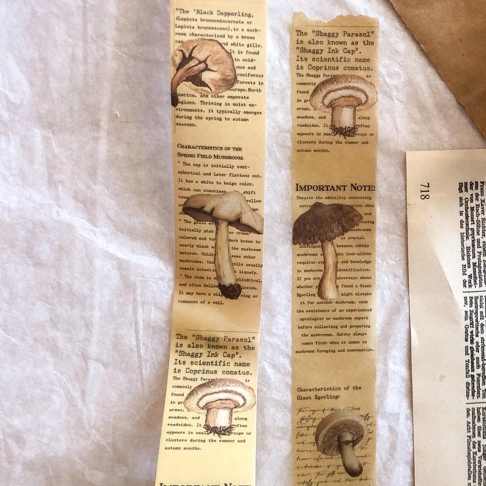 Vellum Tape Sames Journal - Autumn Mushroom 30 mm