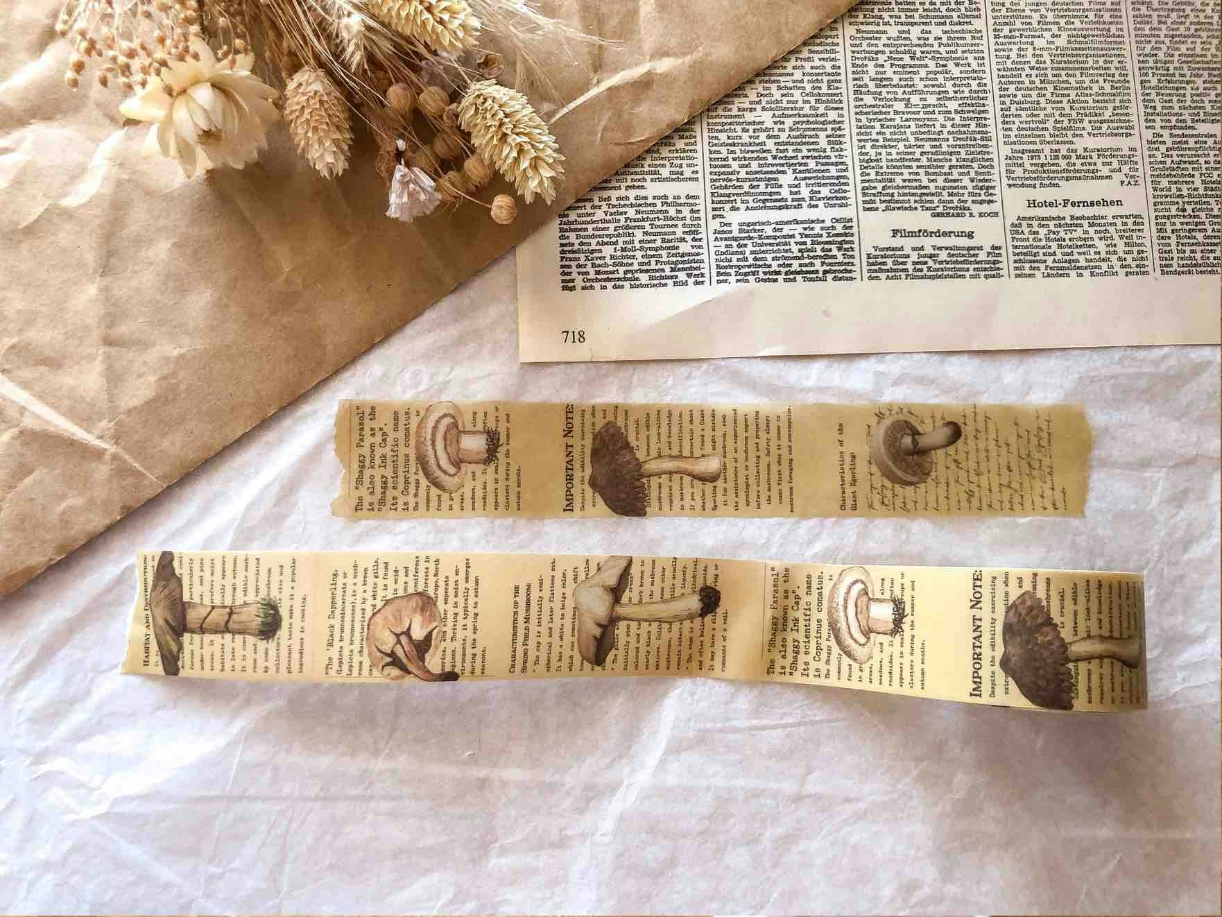 Vellum Tape Sames Journal - Autumn Mushroom 30 mm