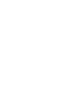 VOIS Design