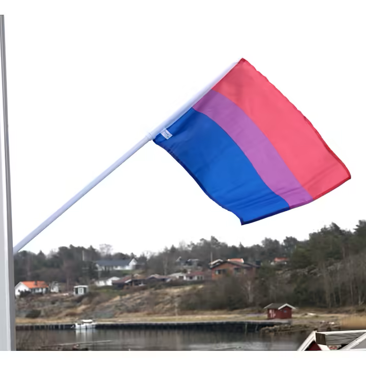 Fasadflagga BISEXUELL
