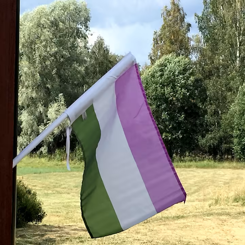 Fasadflagga GENDERQUEER