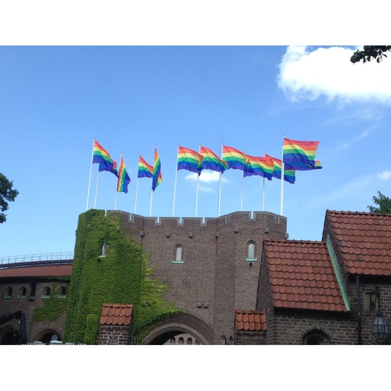Flagga flaggstång PRIDE 300 x 450 cm