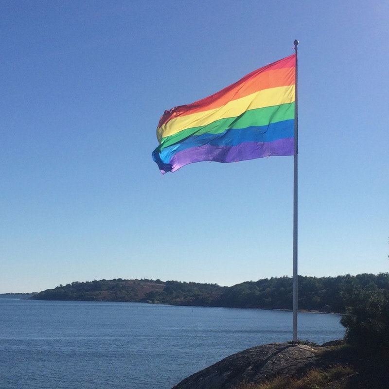 Flagga flaggstång PRIDE 300 x 450 cm