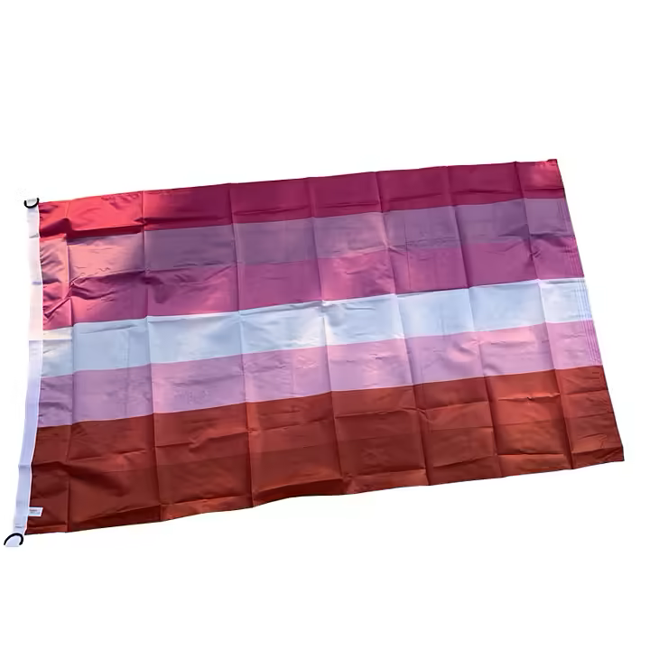 Flagga LESBISK 90 x 150 cm