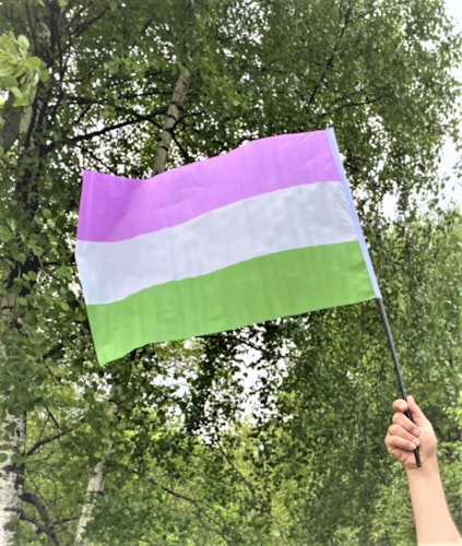 Flagga på pinne 40 x 60 cm GENDERQUEER