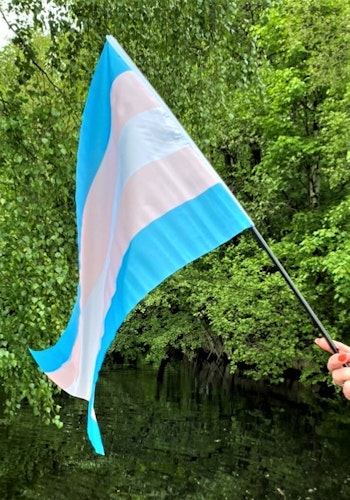 Flagga på pinne 40 x 60 cm TRANS