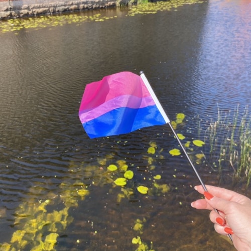 Liten flagga på pinne 21 x 14 cm BISEXUELL