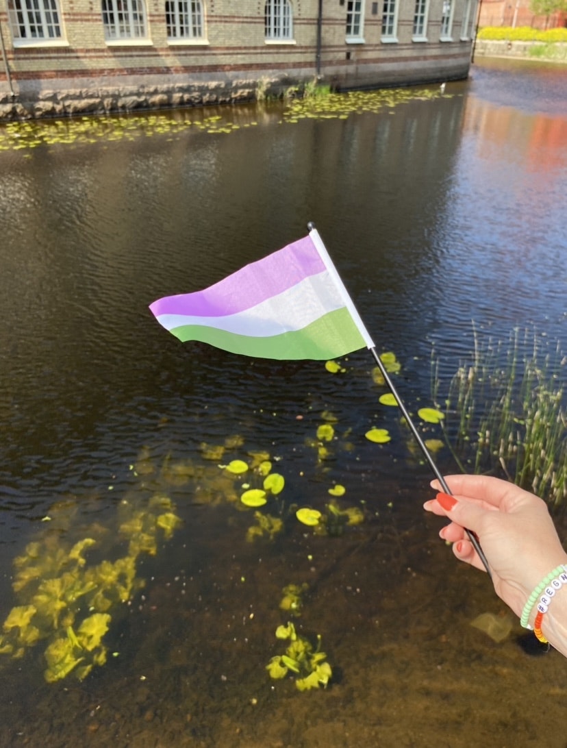 Liten flagga på pinne 21 x 14 cm GENDERQUEER