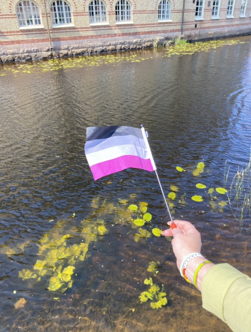 Liten flagga på pinne 21 x 14 cm ASEXUELL