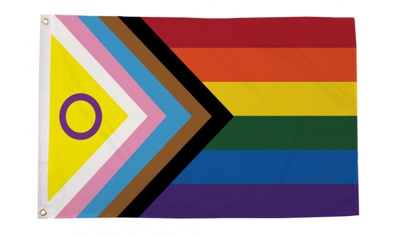 Flagga Flaggstång 150 x 240 cm INTERSEX PROGRESS PRIDE