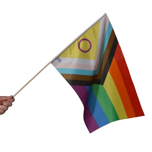 Flagga på pinne 40 x 60 cm INTERSEX PROGRESS PRIDE