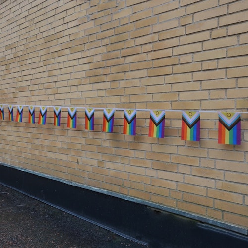 Flaggspel mini 6 m INTERSEX PROGRESSIVE PRIDE