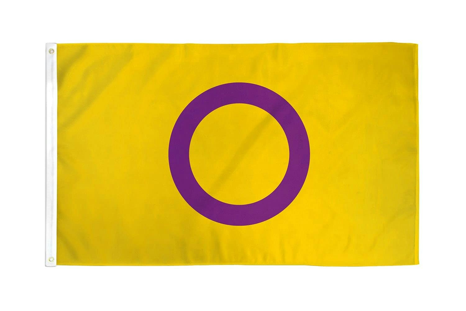 Flagga 90 x 150 cm INTERSEX