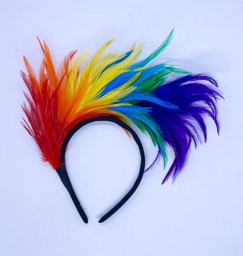 Diadem med fjädrar åt sidan PRIDE