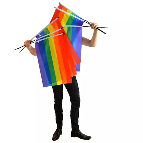 Flagga på pinne 60 x 90 cm PRIDE