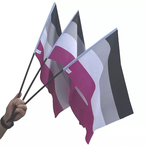Flagga på pinne 40 x 60 cm ASEXUELL