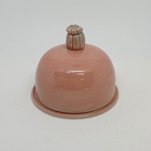 Saltklocka vallmo "celadon rosa"