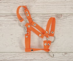 Stor grimma, Hobby Horse, Orange