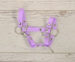 Liten grimma, Hobby Horse, Lila