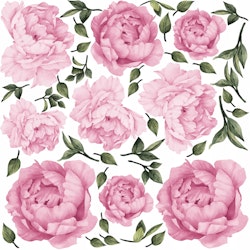Väggklistermärke rosa pioner