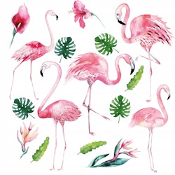 Väggklistermärke flamingos