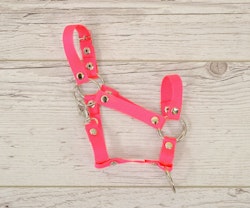 Stor grimma, Hobby Horse, Neonrosa