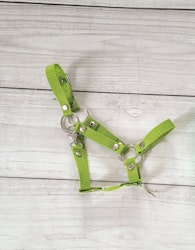 Stor grimma, Hobby Horse, Lime