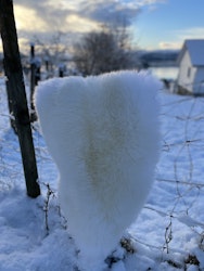 Lammeskinn