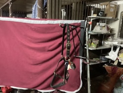 Grimma svart cob