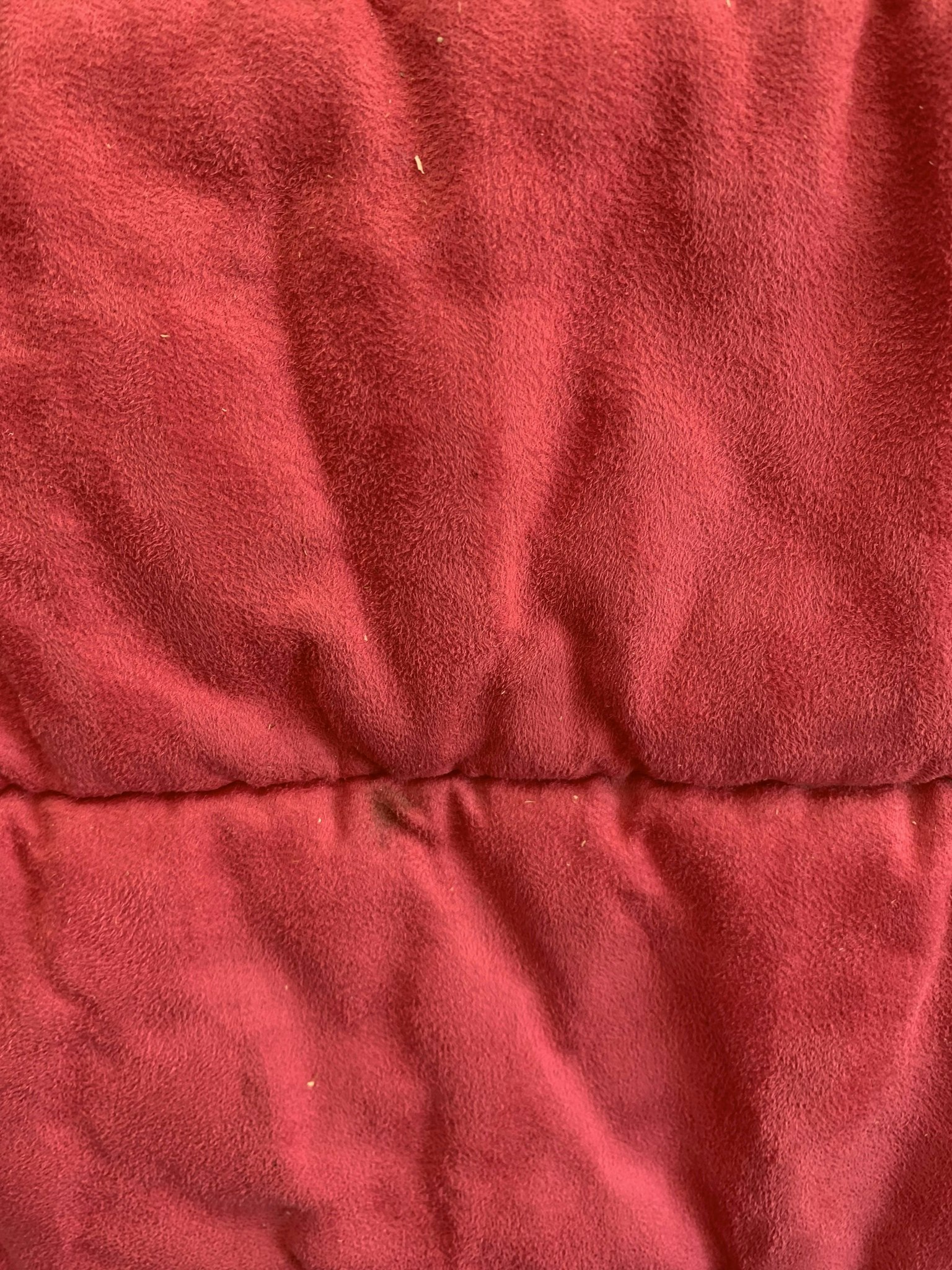 Schabrak,rosa med grå rand,dressyr,F