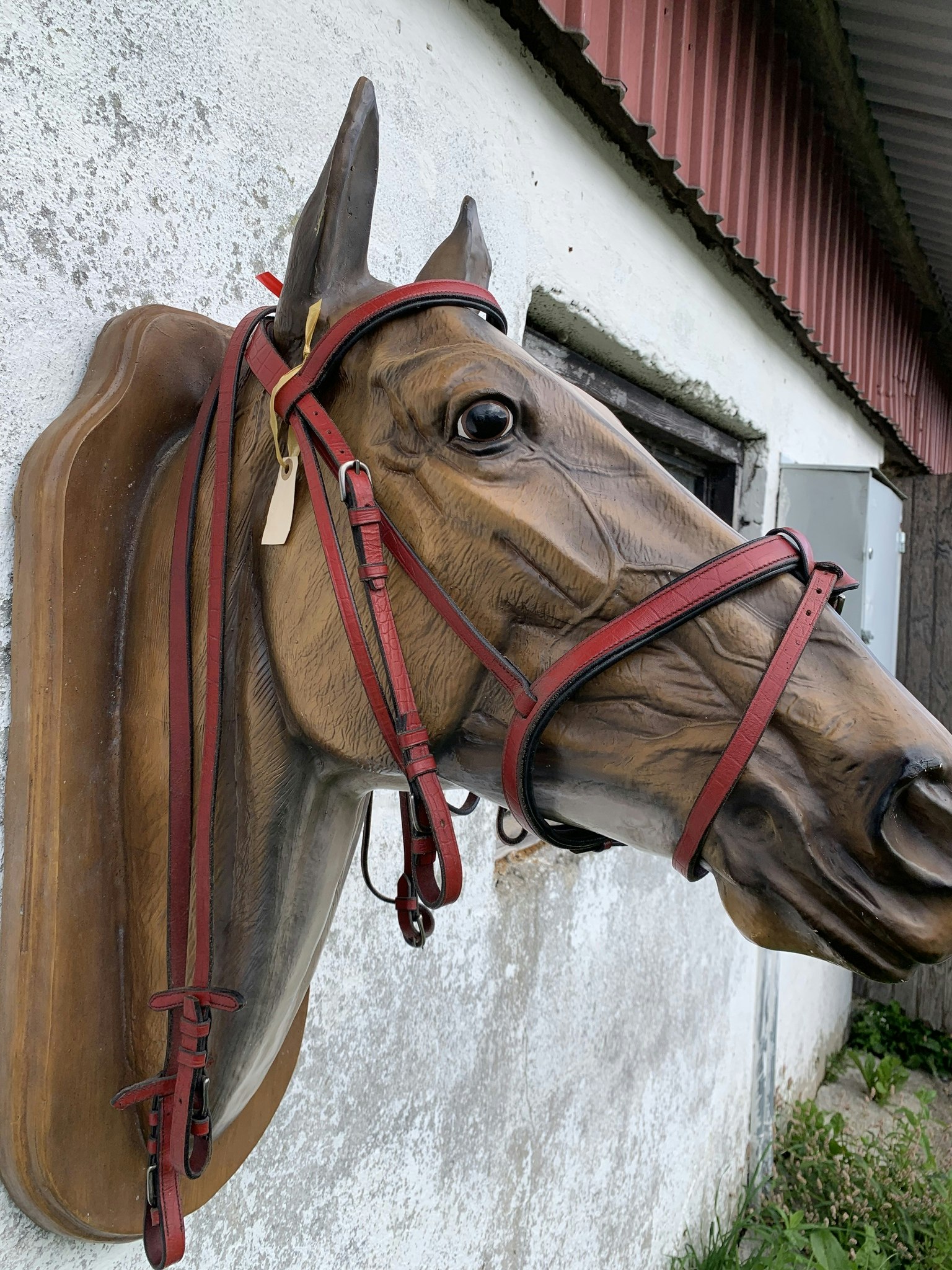 Chetakträns inkl tyglar,rött,cob