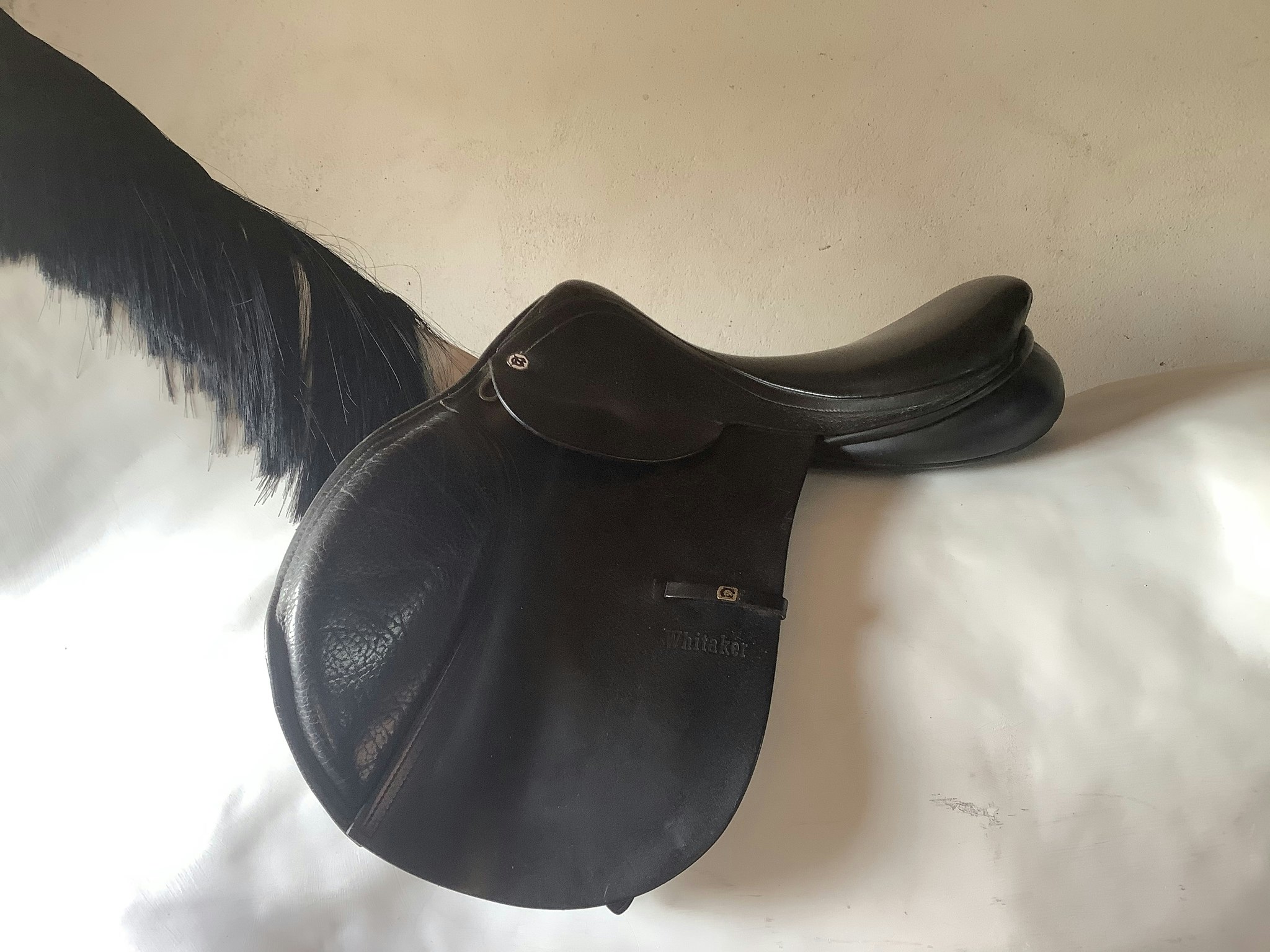 Cliff barnsby,whitaker,svart sadel 17”,N,