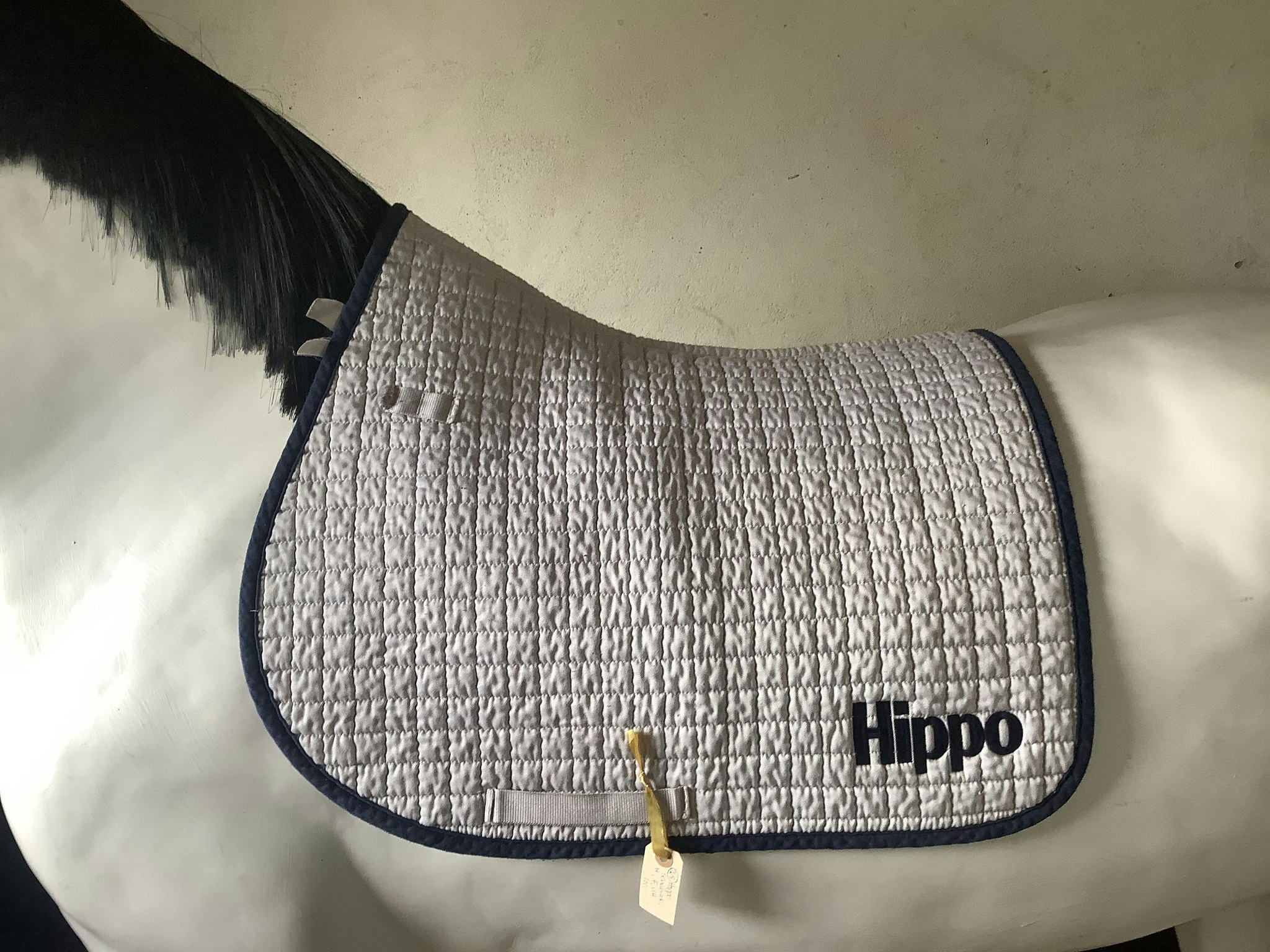 Hippo schabrak,H,F,vitt