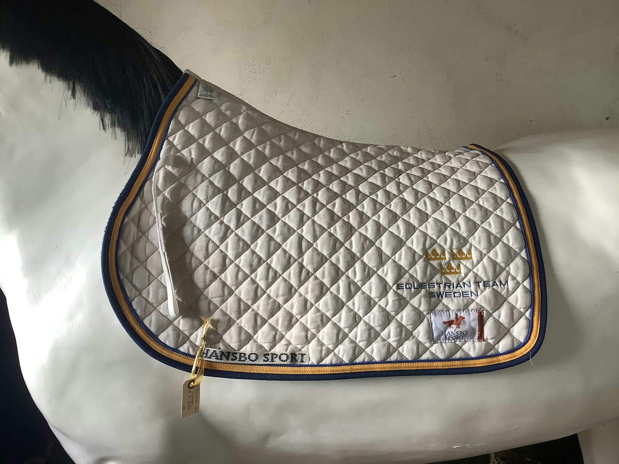 Hansbo sport,schabrak,fläck,H,F