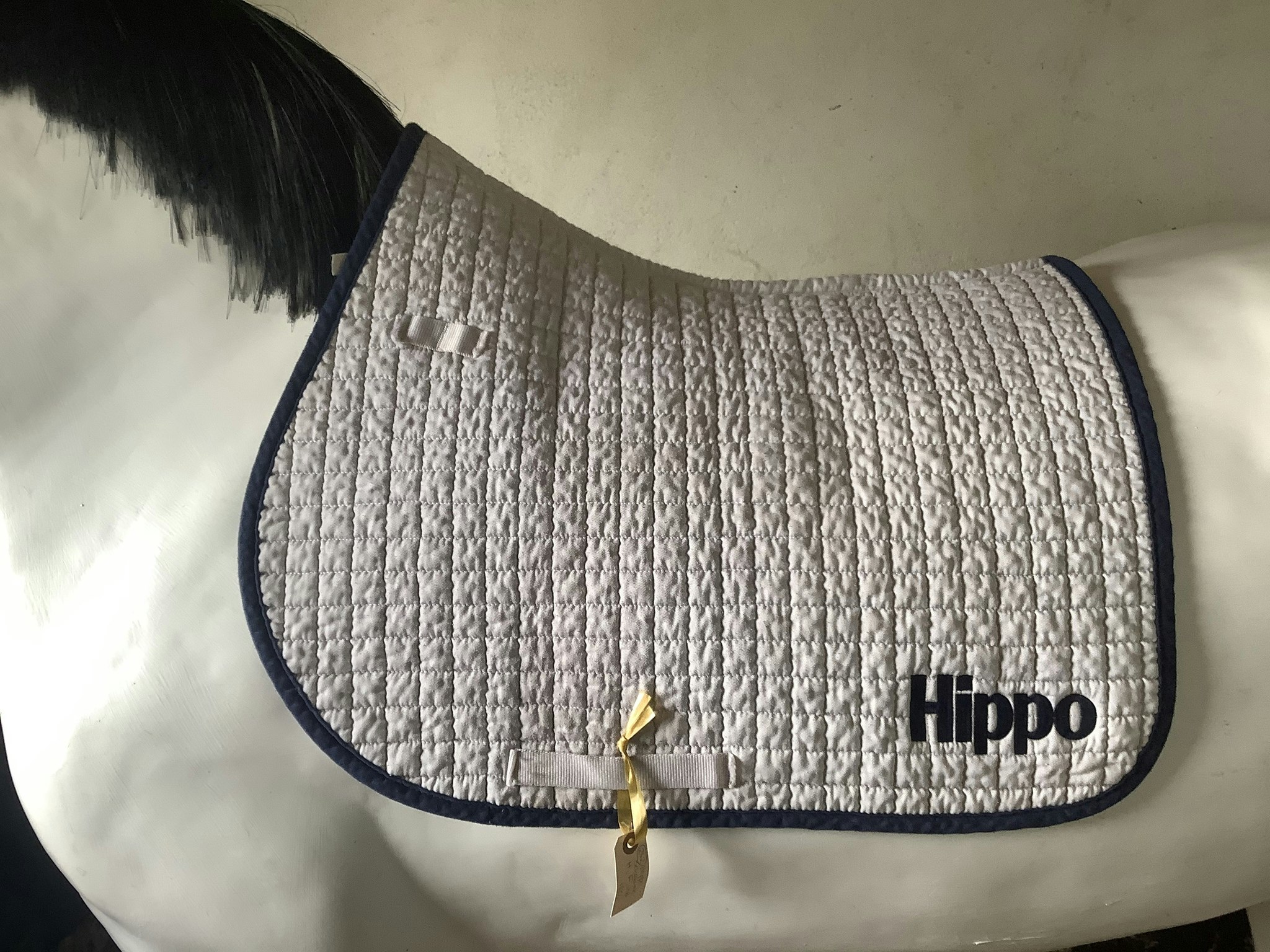 Hippo schabrak,H,F,vitt